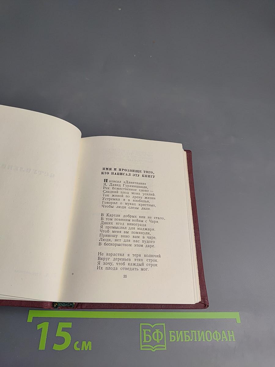 Давид Гурамишвили. Стихотворения и поэмы