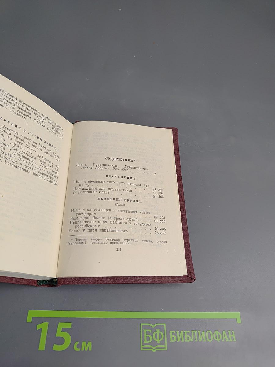 Давид Гурамишвили. Стихотворения и поэмы