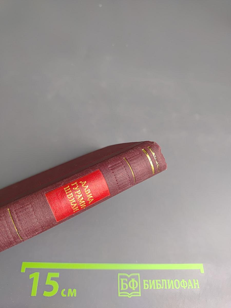 Давид Гурамишвили. Стихотворения и поэмы