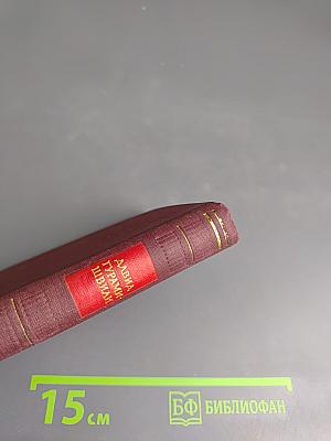 Давид Гурамишвили. Стихотворения и поэмы