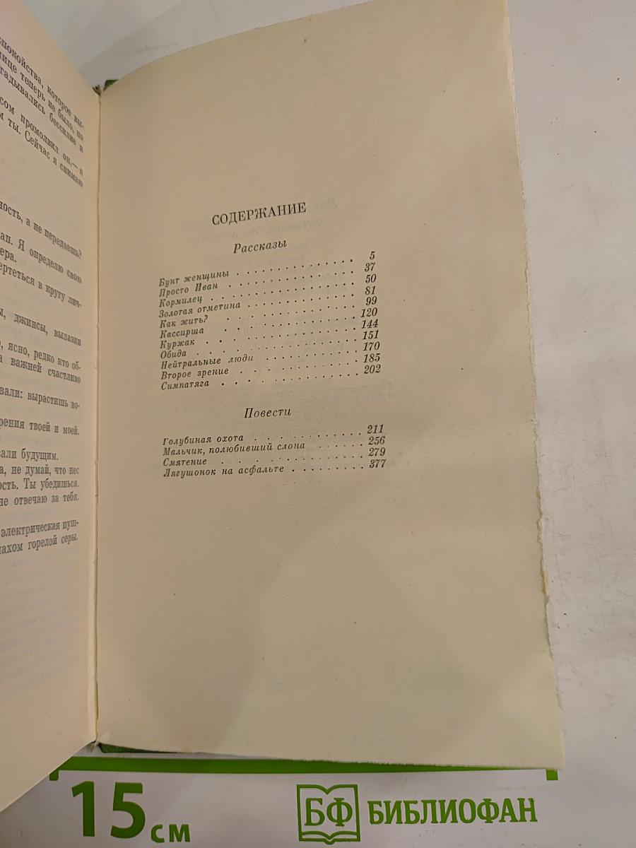 Лягушонок на асфальте. Рассказы и повести