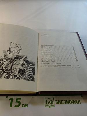 Зерна. Поэмы