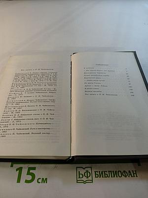 Петр Ильич Чайковский