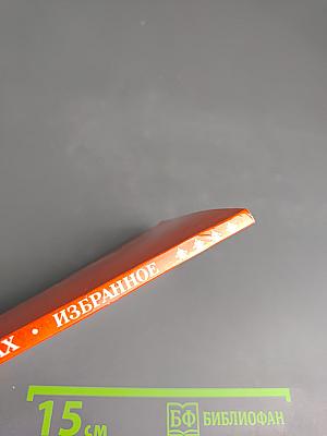 Избранная лирика