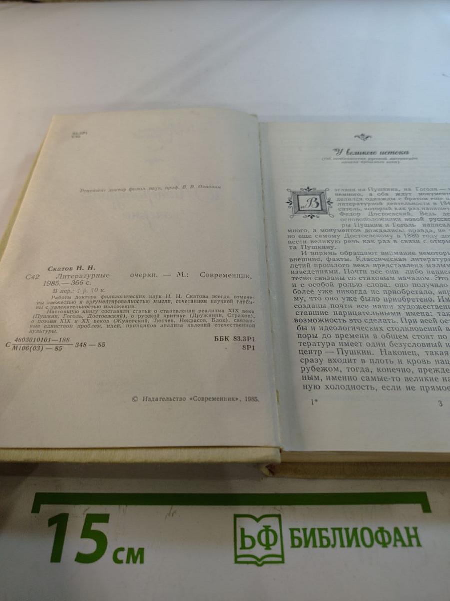 Литературные очерки