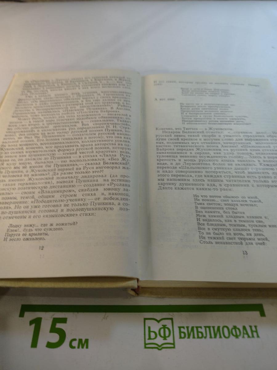 Литературные очерки