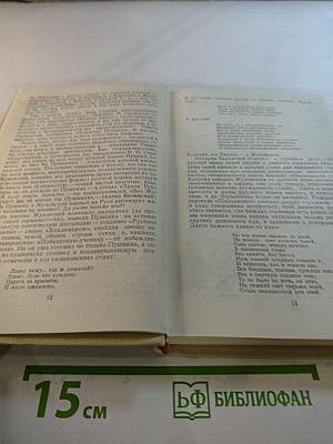 Литературные очерки