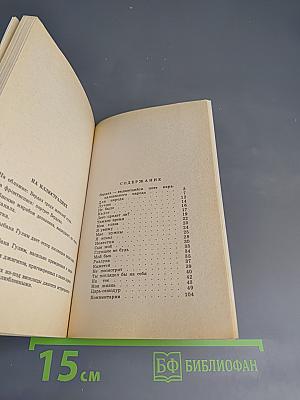 Избранная лирика