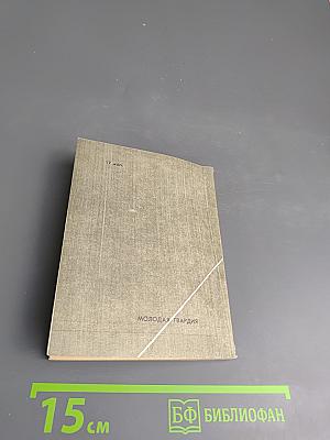 Шпага чести