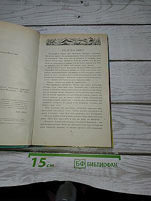 Голубиная почта