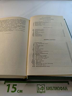 Сыновья и любовники. Флейта Аарона