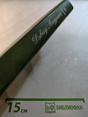 Сыновья и любовники. Флейта Аарона