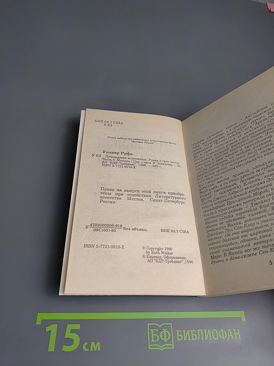 Лучезарная колесница. Часть 3 Мишель