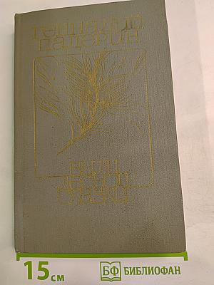 Были лесной сказки