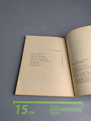 Садовая улица. Прогулки по Ленинграду