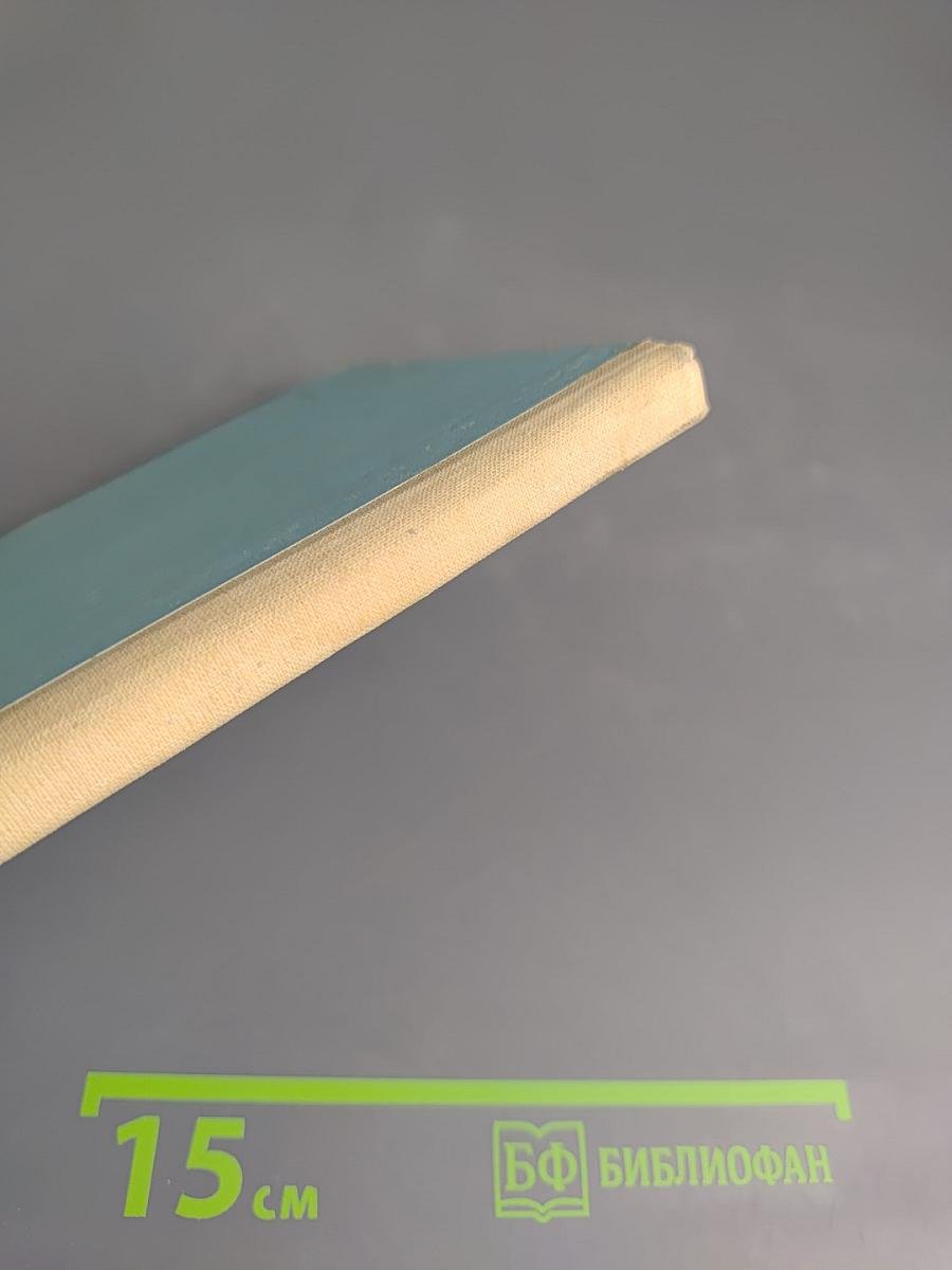 Современная история, рассказанная Женей Камчадаловой