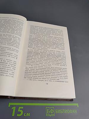 Собрание сочинений. Том 17. Заметки из дневника. Воспоминания. Рассказы 1922-1924 годов
