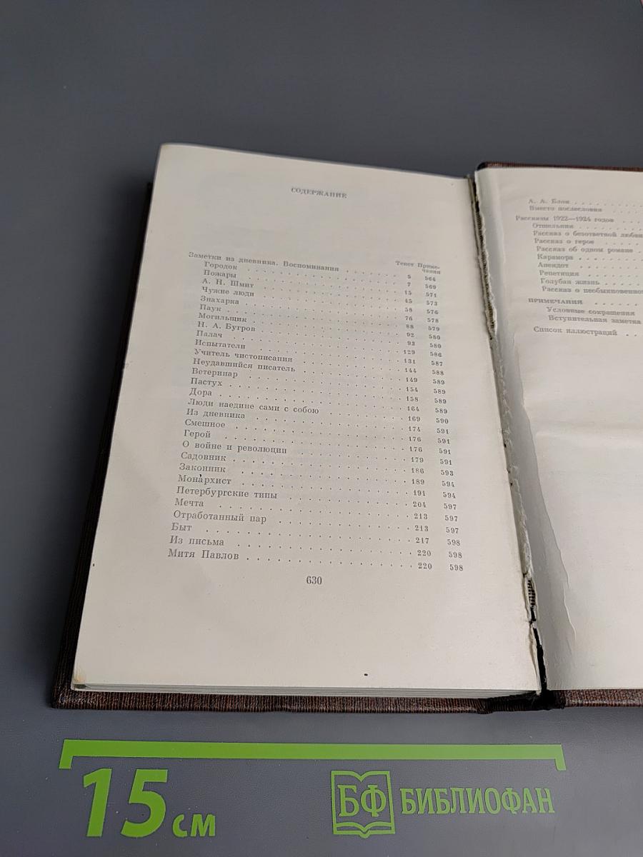 Собрание сочинений. Том 17. Заметки из дневника. Воспоминания. Рассказы 1922-1924 годов