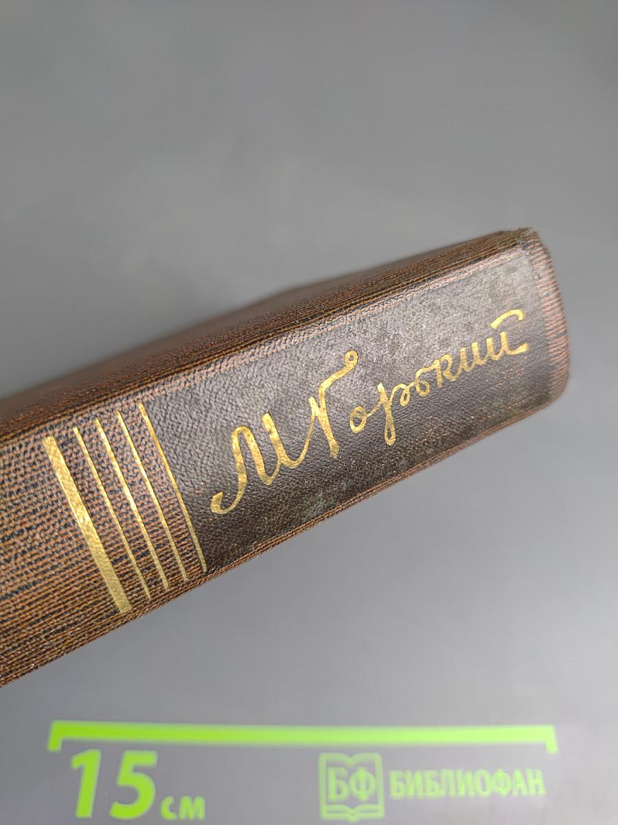 Собрание сочинений. Том 17. Заметки из дневника. Воспоминания. Рассказы 1922-1924 годов