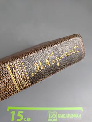 Собрание сочинений. Том 17. Заметки из дневника. Воспоминания. Рассказы 1922-1924 годов