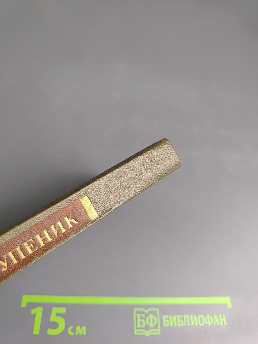 Стихотворения и поэмы