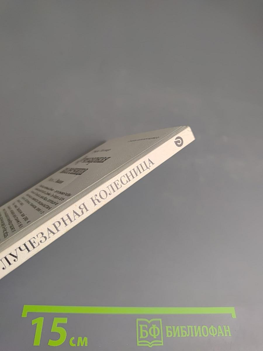 Лучезарная колесница. Часть 2. Викки