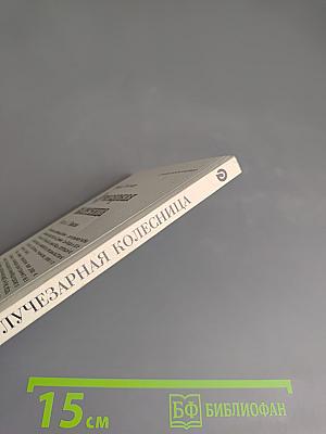 Лучезарная колесница. Часть 2. Викки