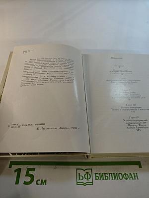 Йоханн Гутенберг и начало книгопечатания в Европе