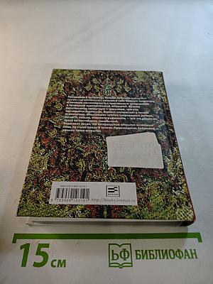 Город с названьем ковров-самолетов