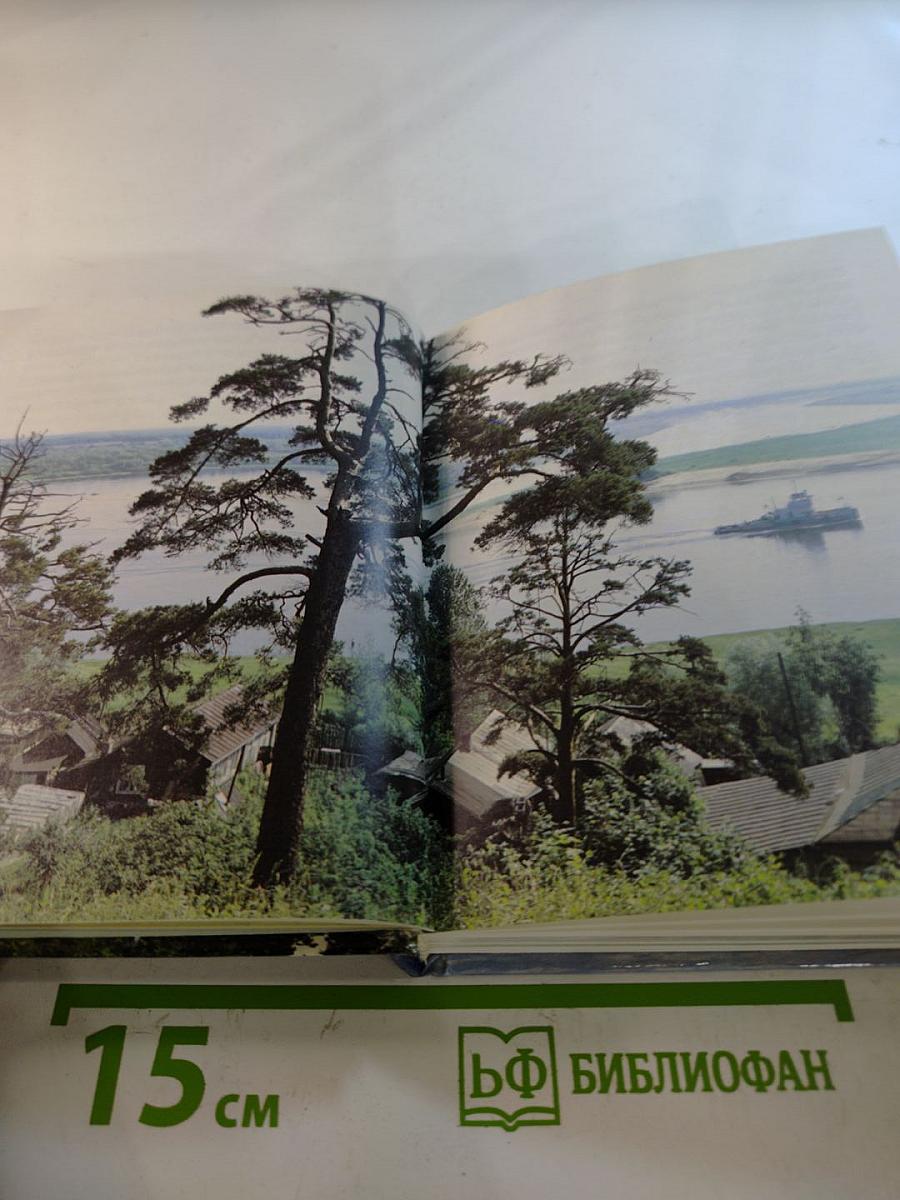 Муром. Памятники архитектуры и искусства