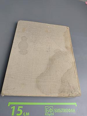 По ту сторону