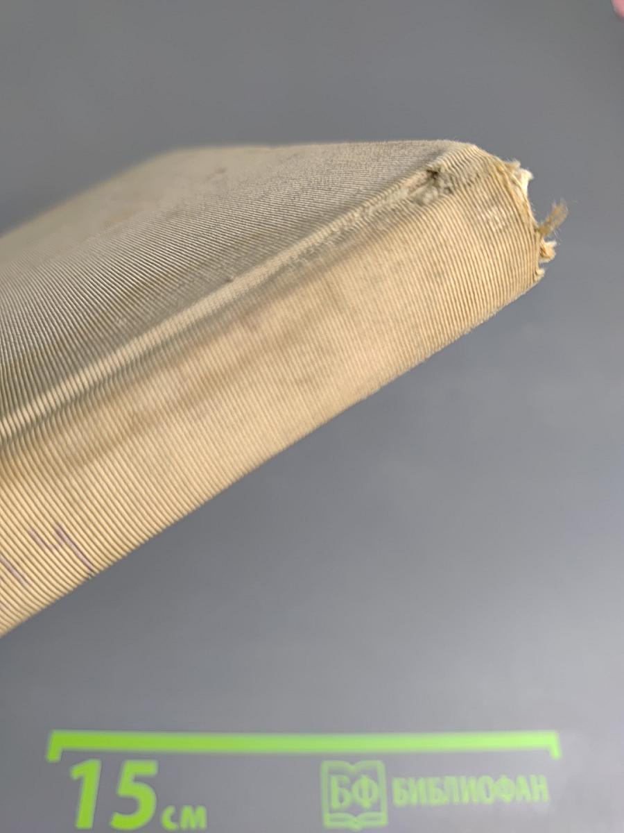 По ту сторону