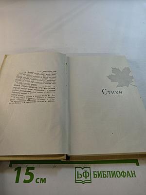 Имя мое – человек. Книга новых стихов