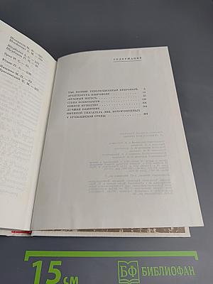 У Кремлевской стены