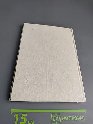 У Кремлевской стены