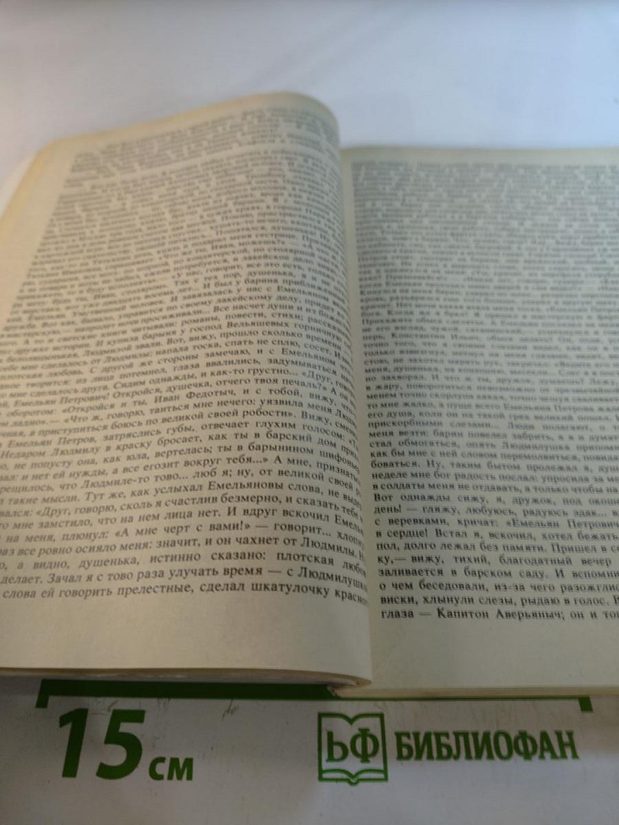 Гарденины, их дворяна, приверженцы и враги