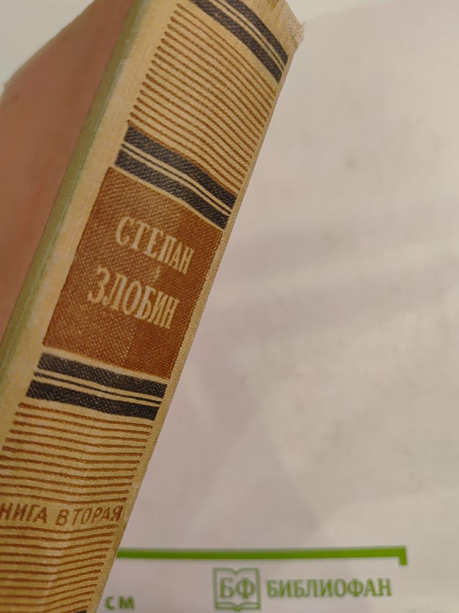 Степан Разин, Книга вторая