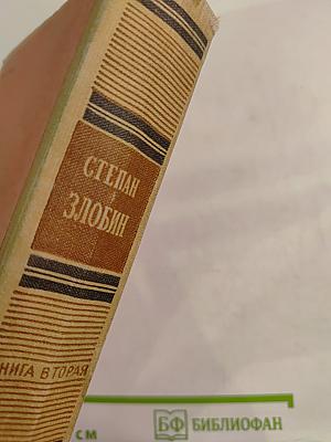 Степан Разин, Книга вторая