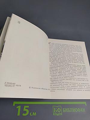 Эмануэль де Витте