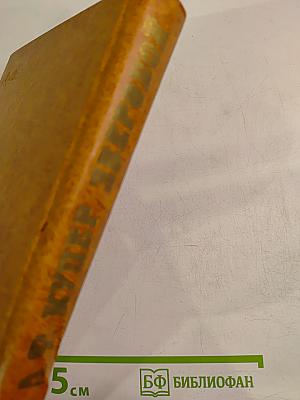 Зверобой, или Первая тропа войны