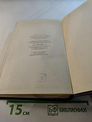 Собрание сочинений. Том второй: Рассказы и повести 1910-1931