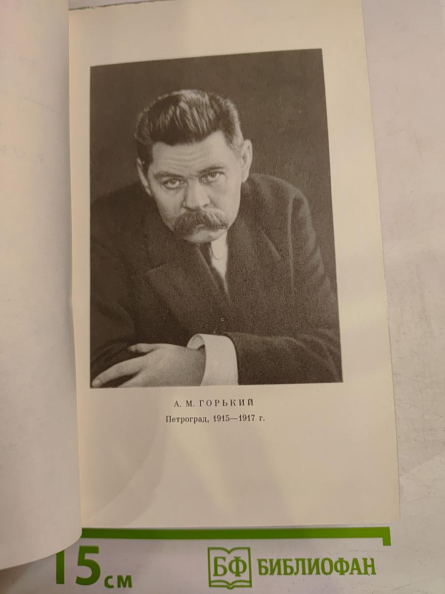 Том шестнадцатый: Повесть, Рассказы, Очерки, Стихи (1917–1924)