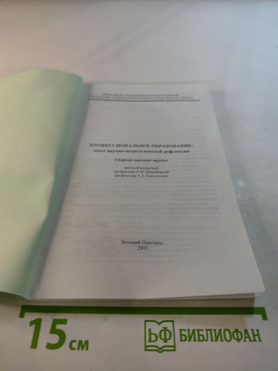 Профессиональное образование: опыт научно-педагогической рефлексии