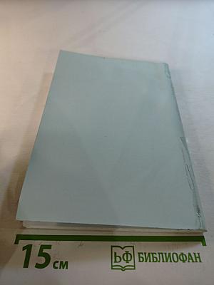 Становление индивидуального стиля молодого педагога