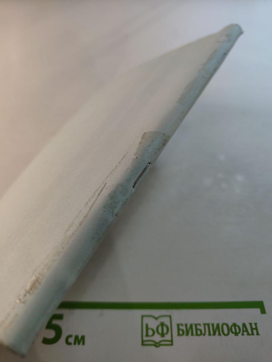 Становление индивидуального стиля молодого педагога