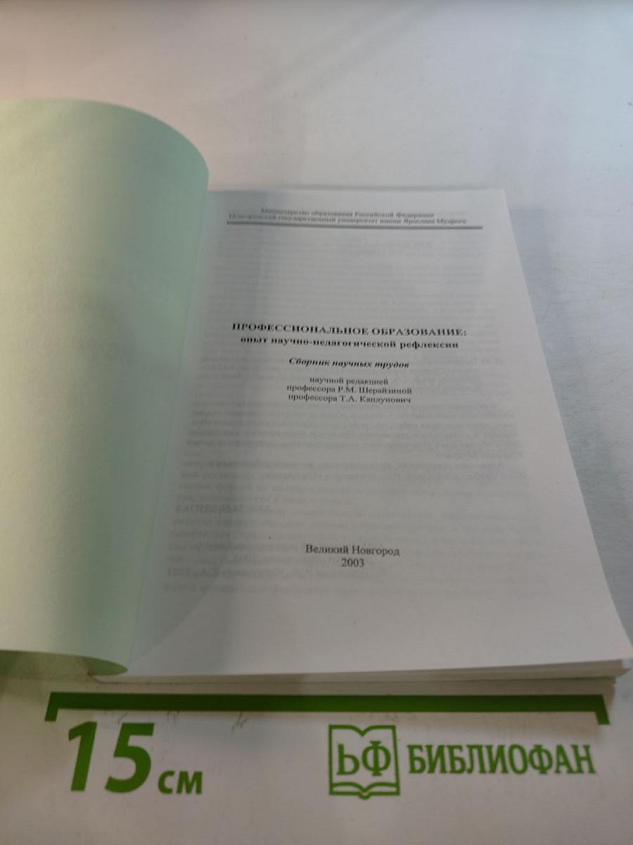 Профессиональное образование: опыт научно-педагогической рефлексии