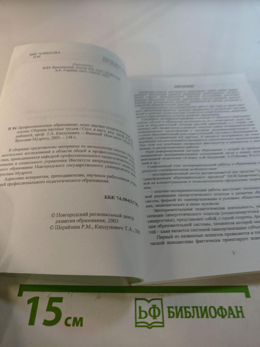 Профессиональное образование: опыт научно-педагогической рефлексии