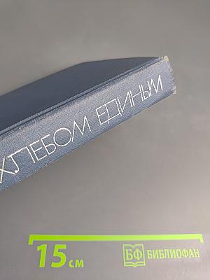 Не хлебом единым