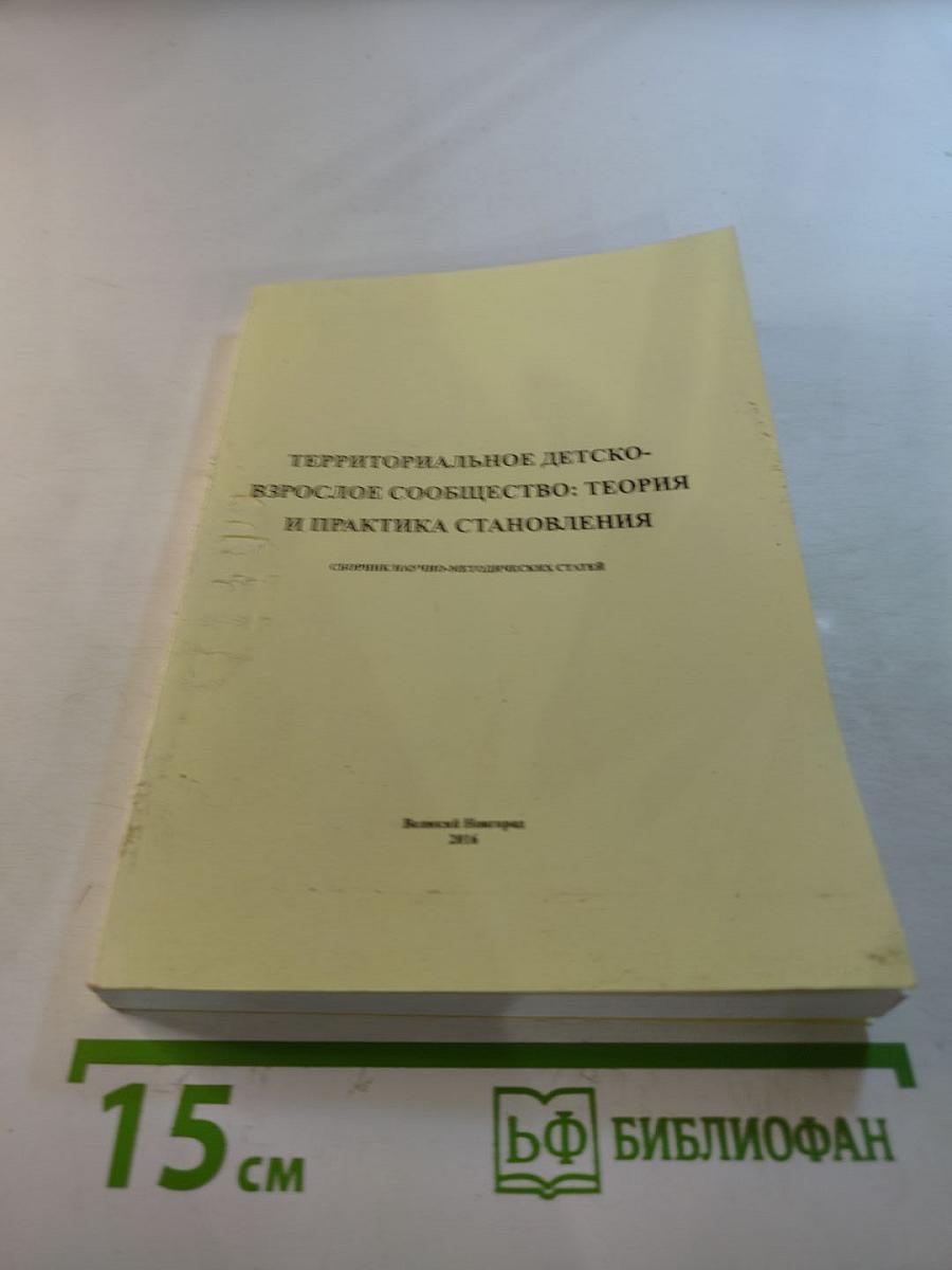 Территориальное детско-взрослое сообщество: теория и практика становления. Сборник научно-методических статей