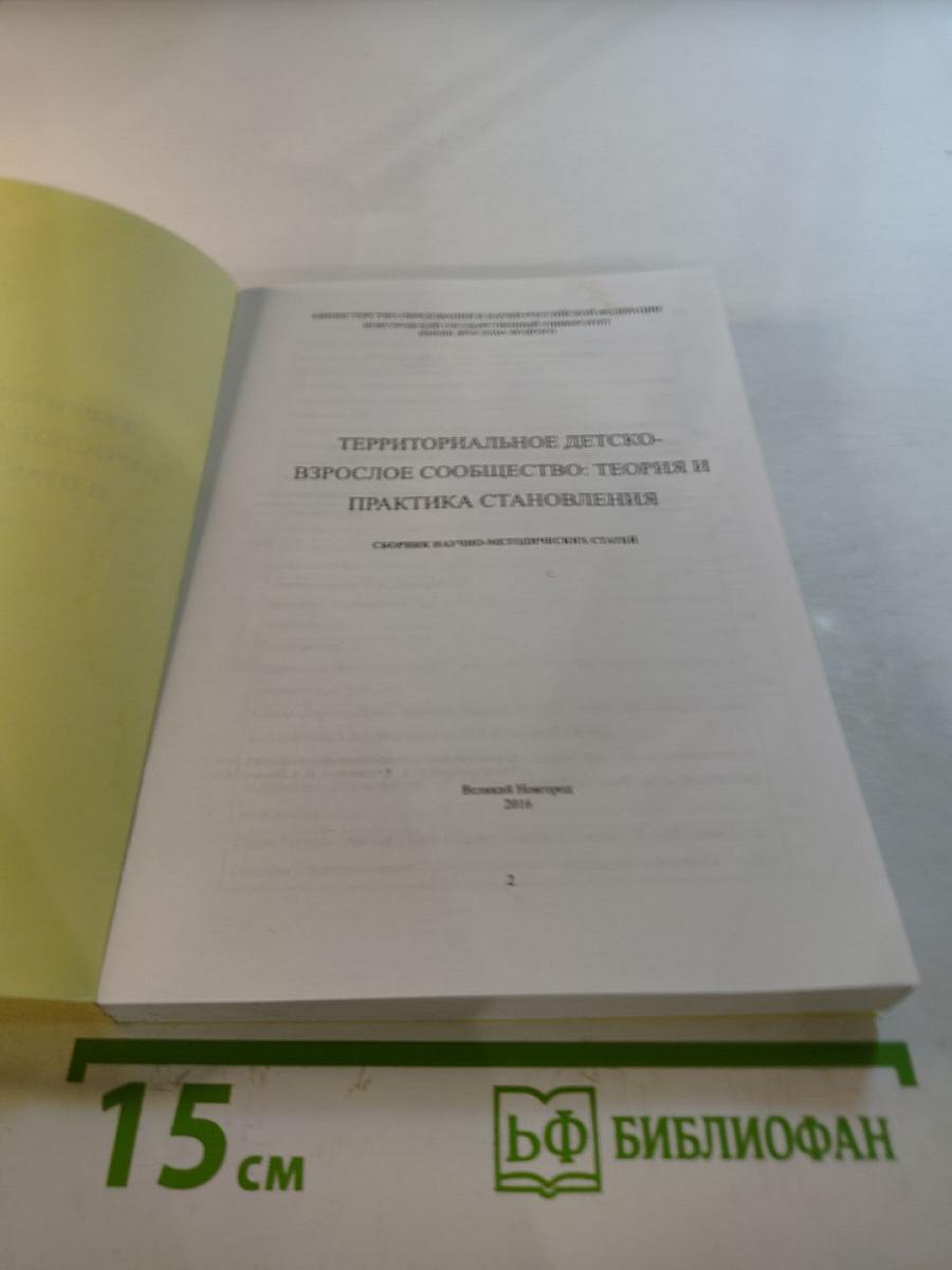 Территориальное детско-взрослое сообщество: теория и практика становления. Сборник научно-методических статей